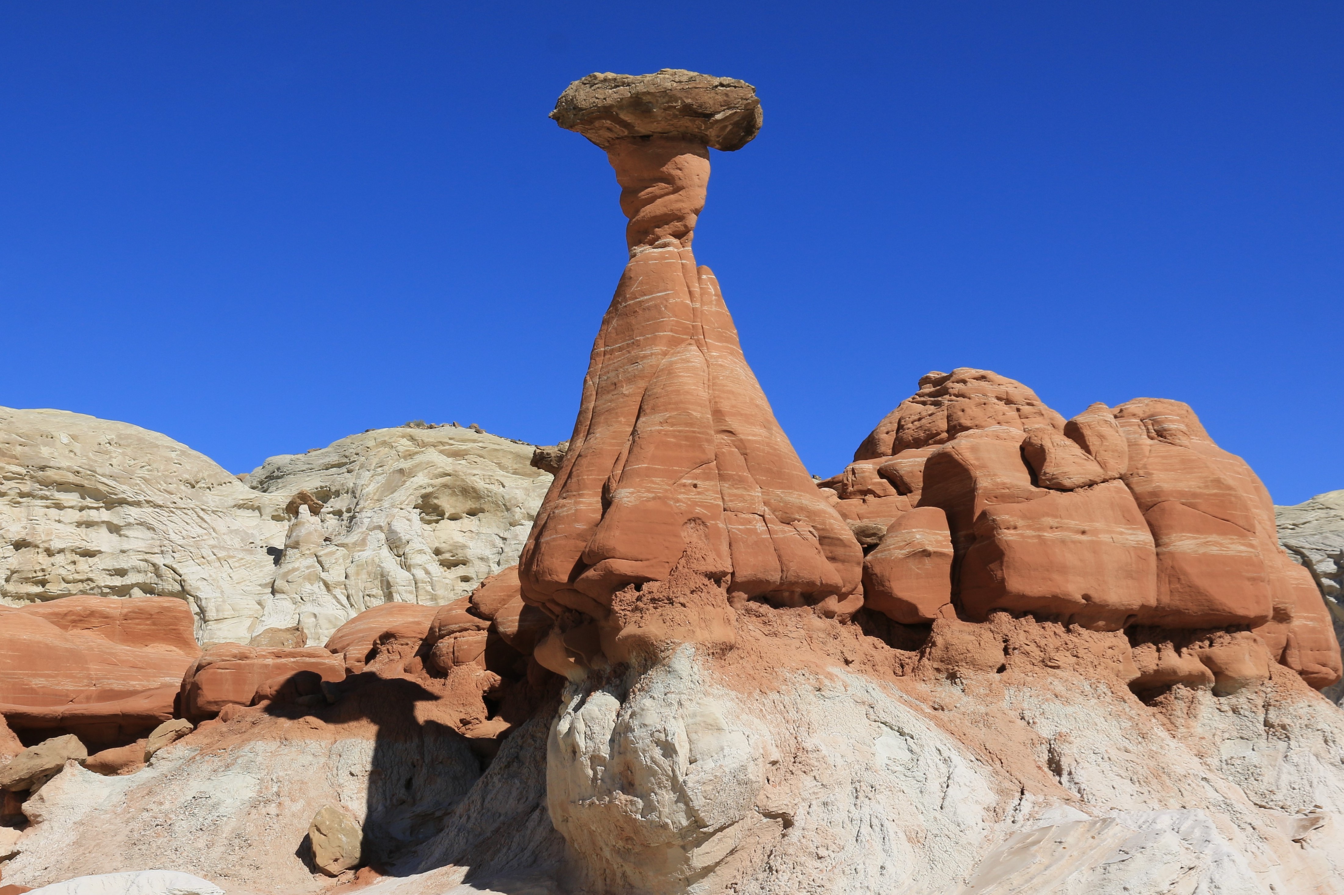 Toadstools